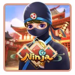 Ninja 2