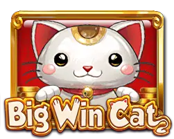 Big Win Cat