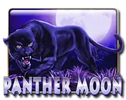 Panther Moon