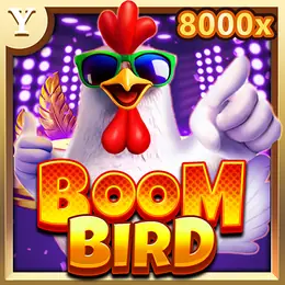 Boom Bird